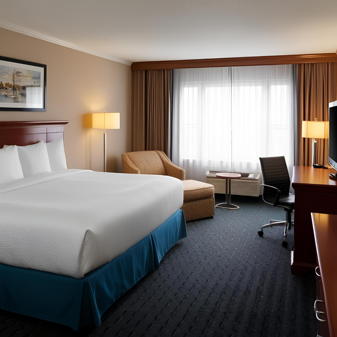 Untitled design (17)