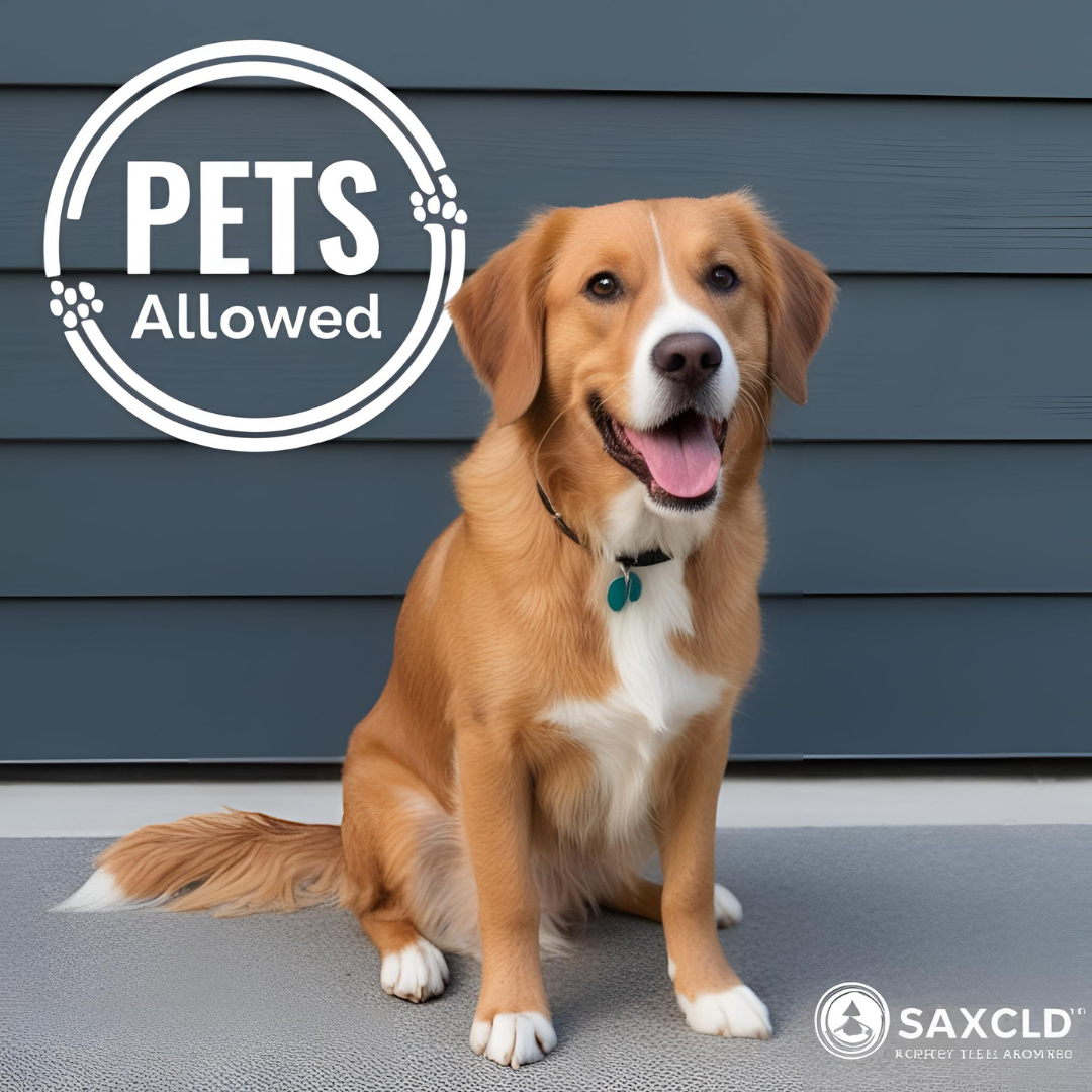 ⁠Pets allowed